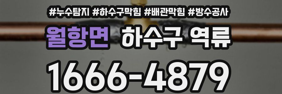 월항면 하수구 역류