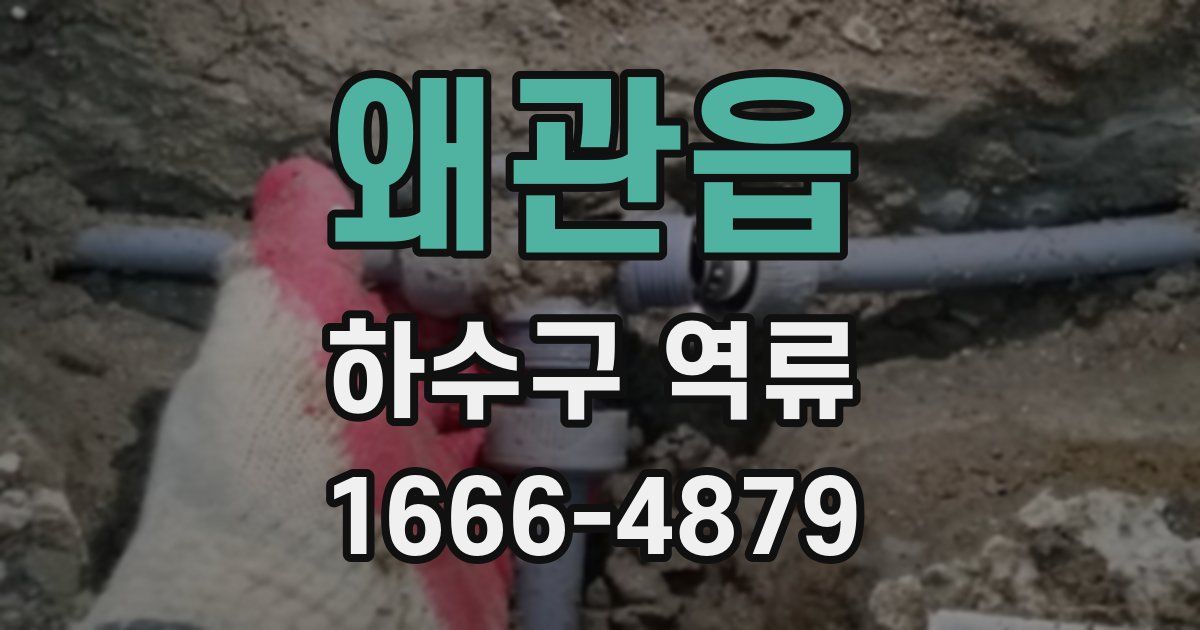 왜관읍 하수구 역류