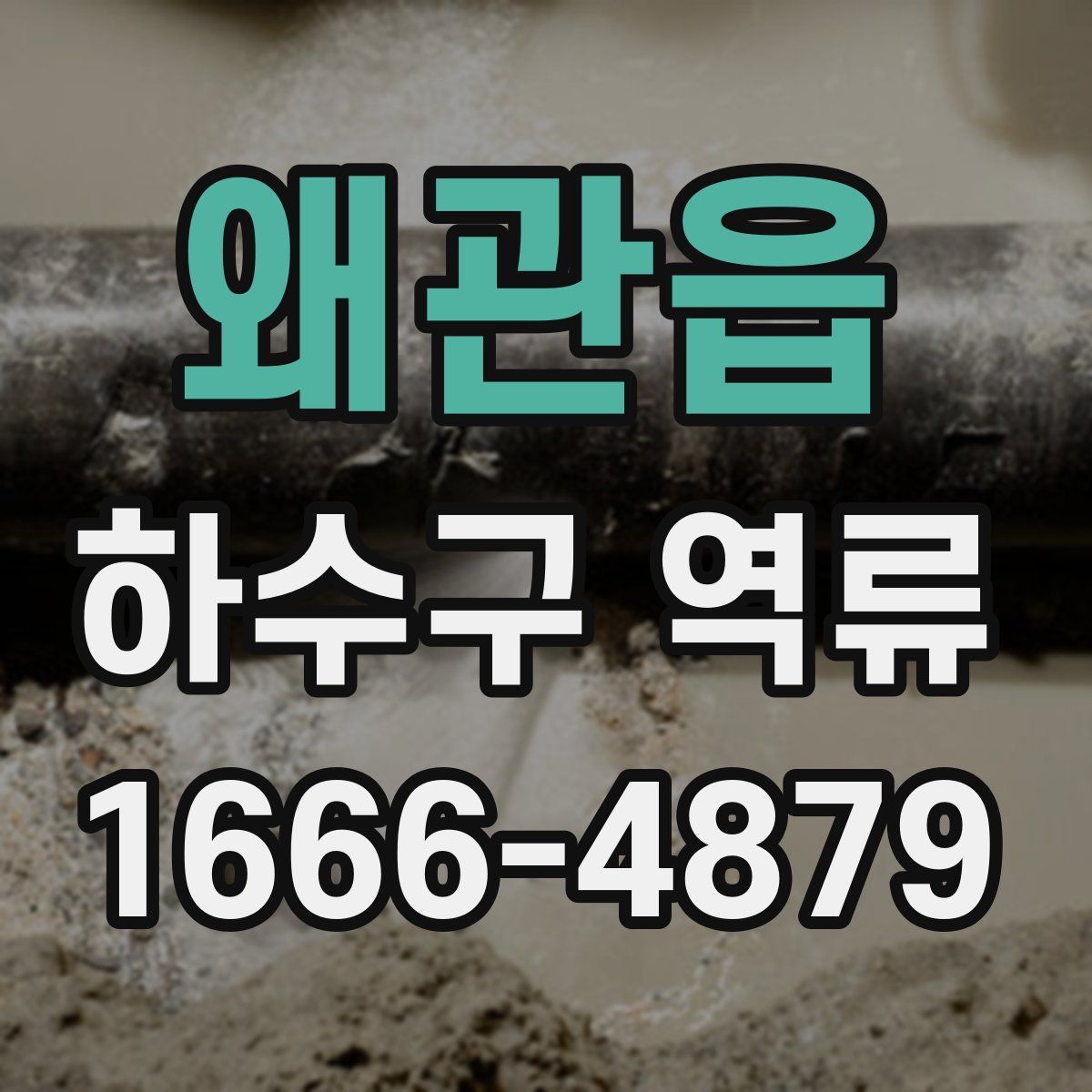 왜관읍 하수구 역류