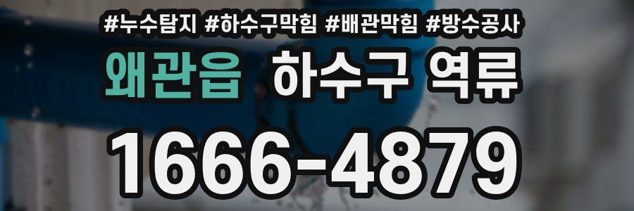 왜관읍 하수구 역류