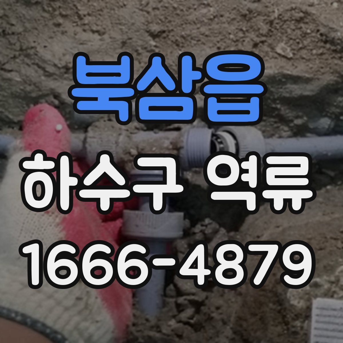 북삼읍 하수구 역류