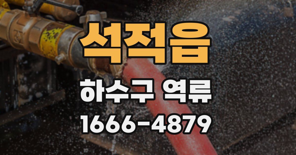 석적읍 하수구 역류