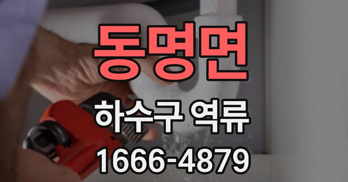동명면 하수구 역류