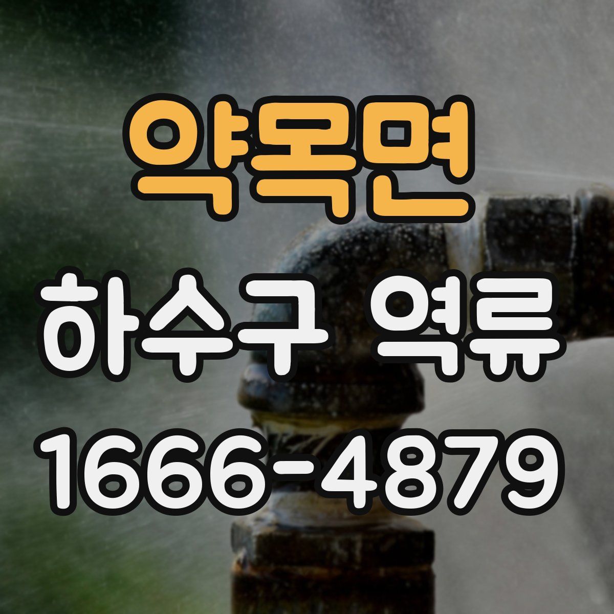 약목면 하수구 역류