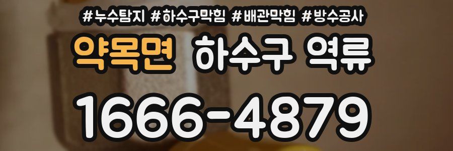약목면 하수구 역류
