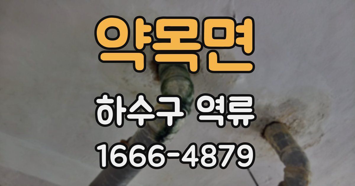 약목면 하수구 역류