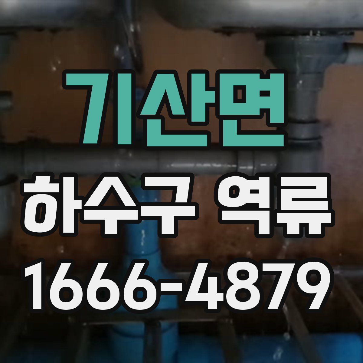 기산면 하수구 역류