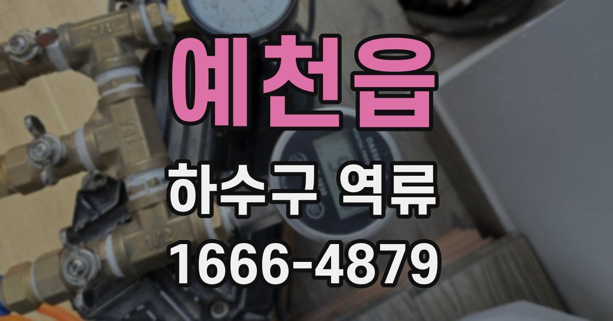 예천읍 하수구 역류