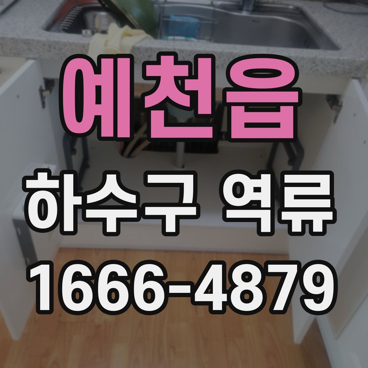 예천읍 하수구 역류
