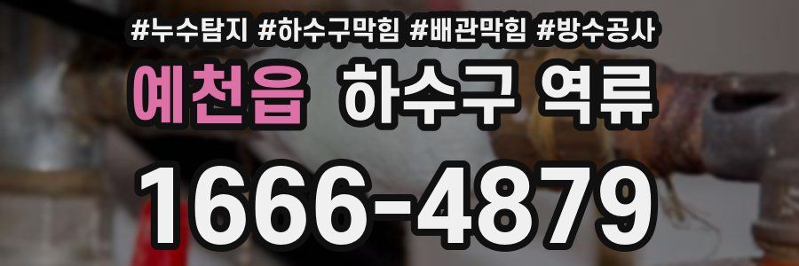 예천읍 하수구 역류