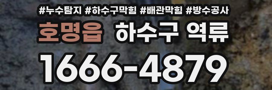 호명읍 하수구 역류