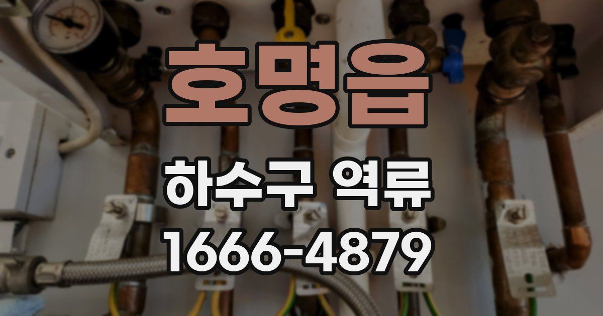 호명읍 하수구 역류