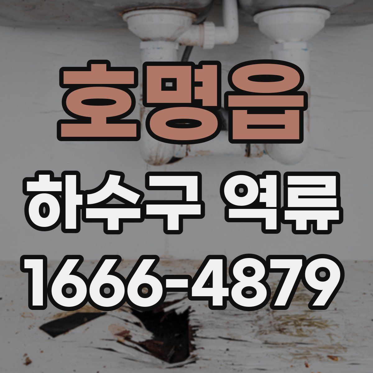 호명읍 하수구 역류
