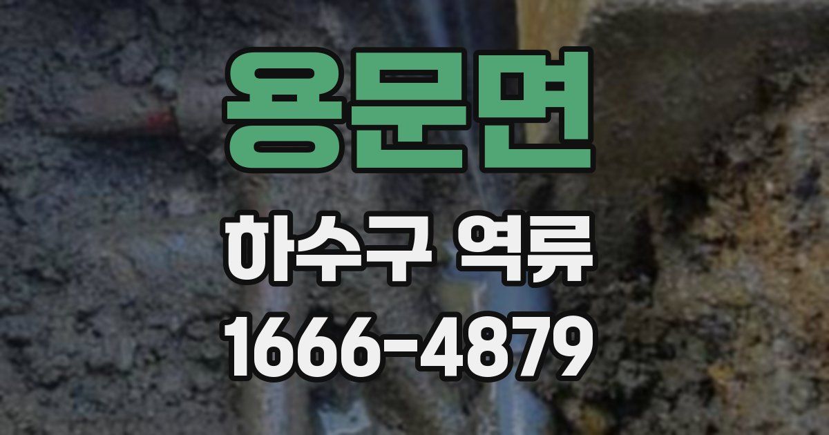 용문면 하수구 역류
