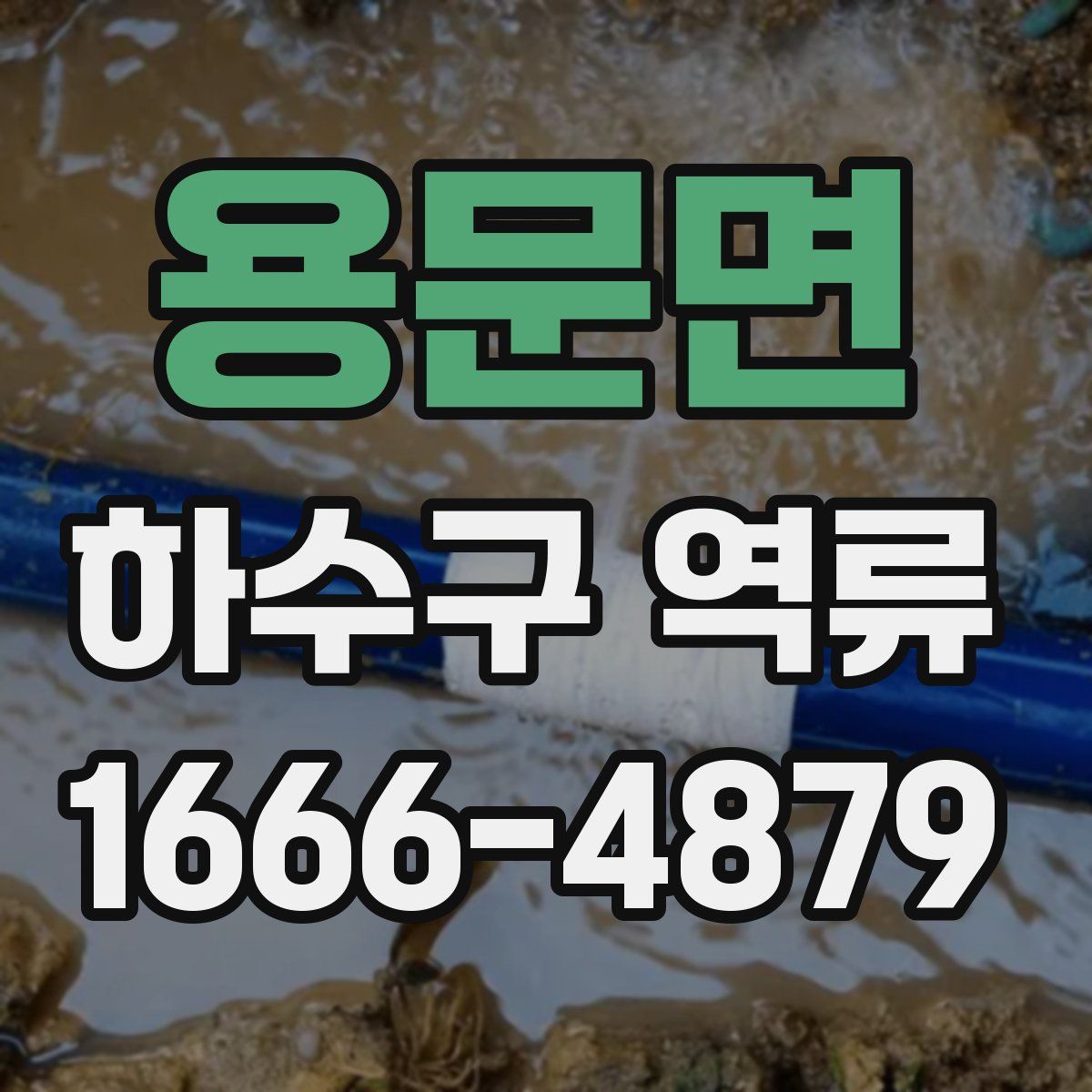 용문면 하수구 역류