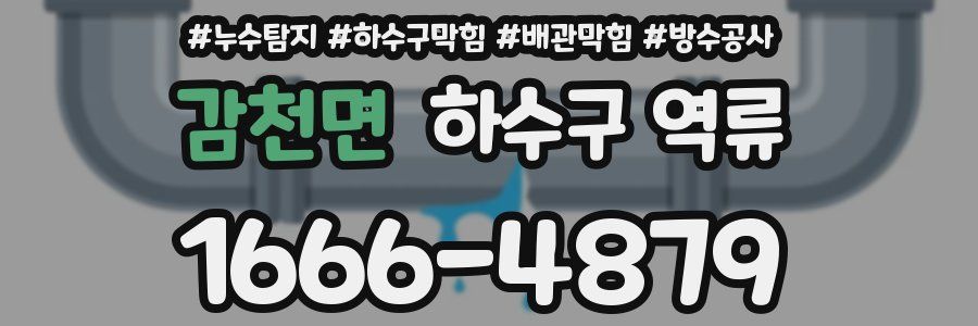 감천면 하수구 역류