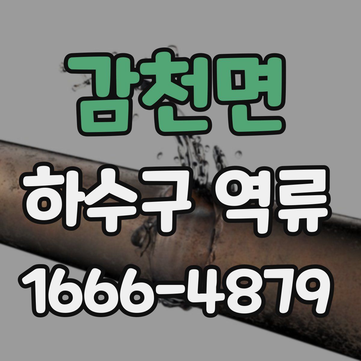 감천면 하수구 역류