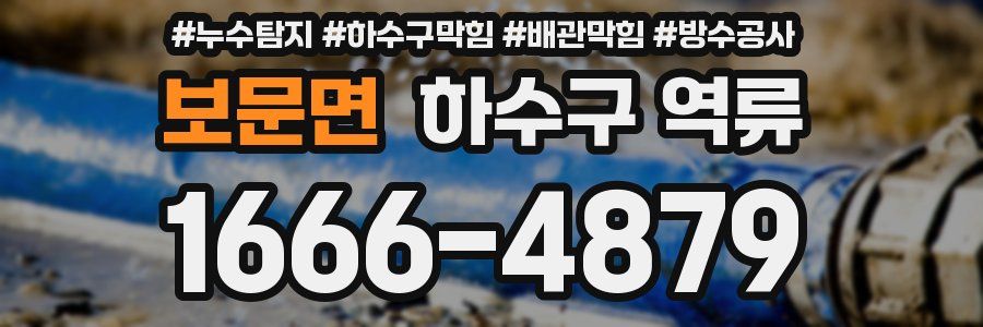 보문면 하수구 역류