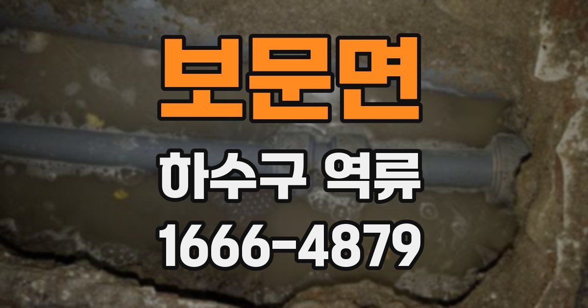 보문면 하수구 역류