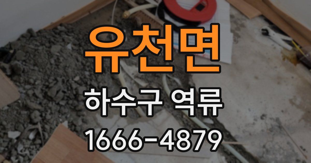 유천면 하수구 역류