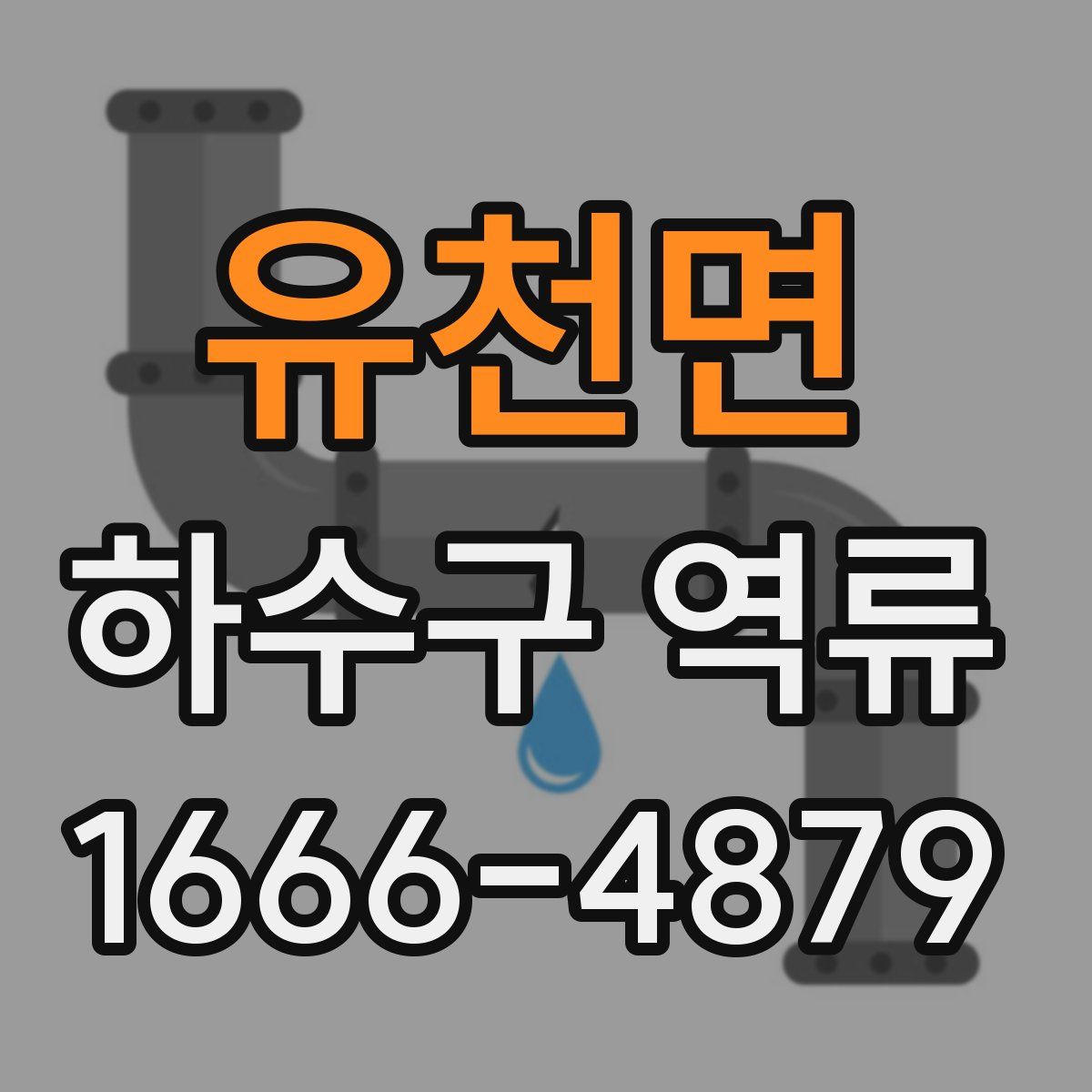 유천면 하수구 역류