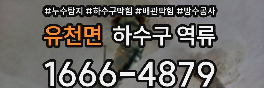 유천면 하수구 역류