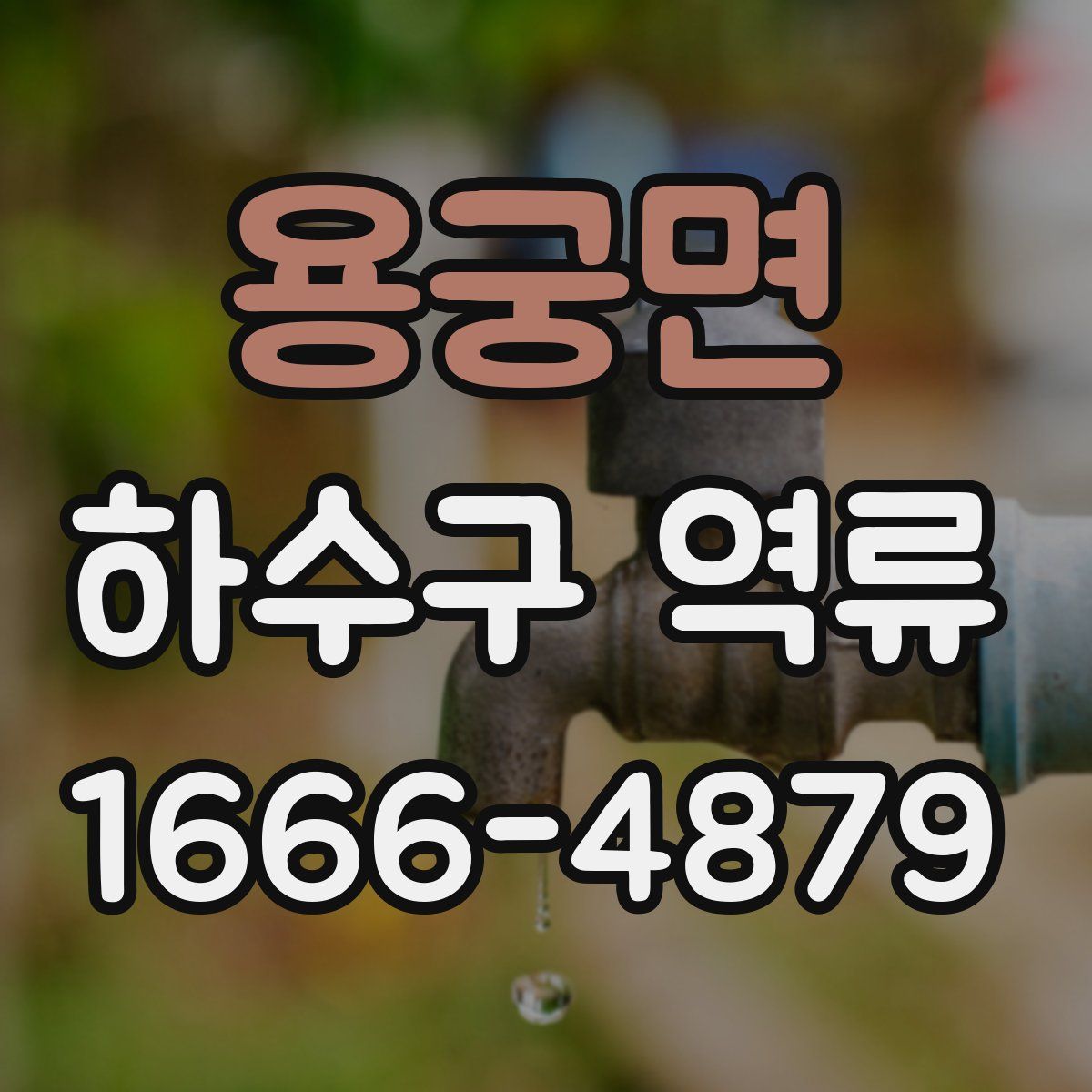 용궁면 하수구 역류