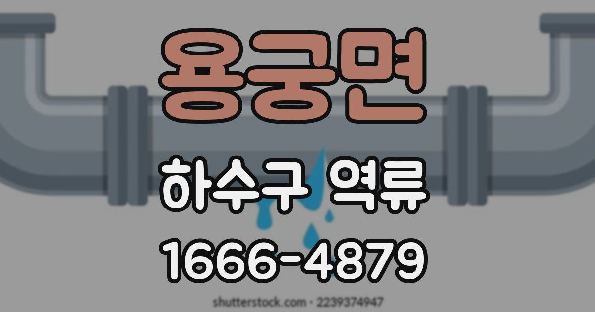 용궁면 하수구 역류