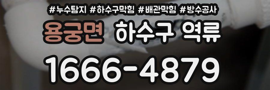 용궁면 하수구 역류