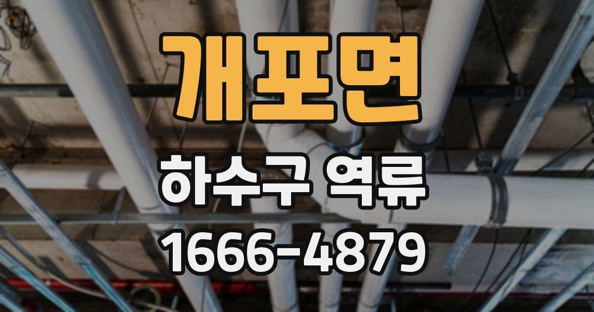 개포면 하수구 역류
