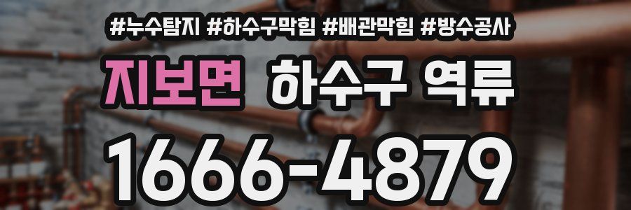 지보면 하수구 역류