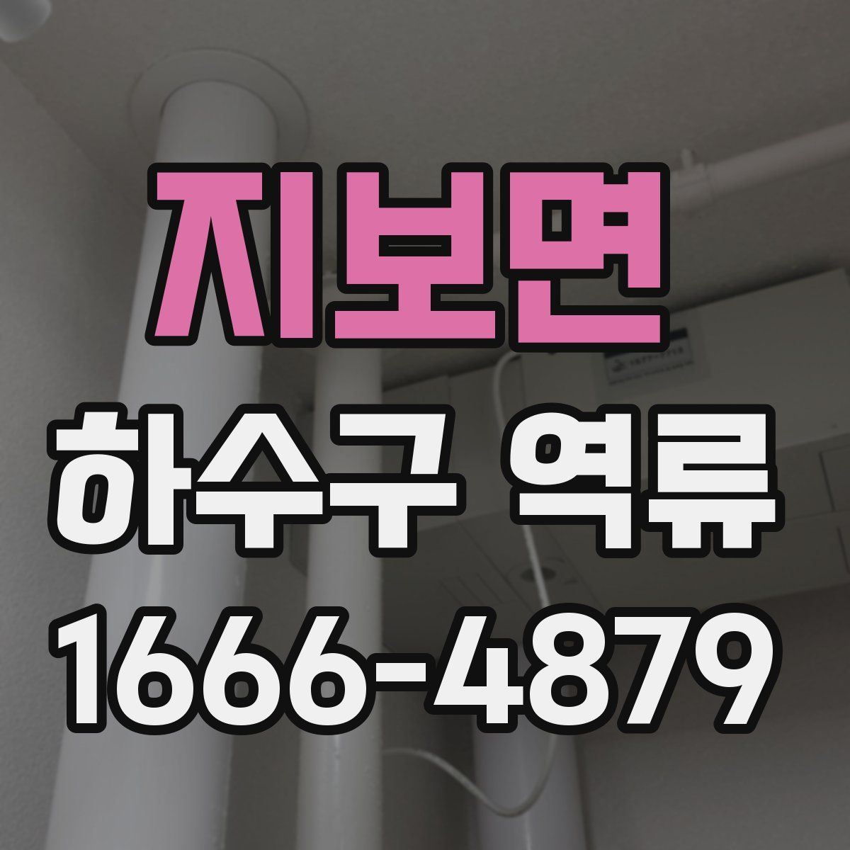 지보면 하수구 역류