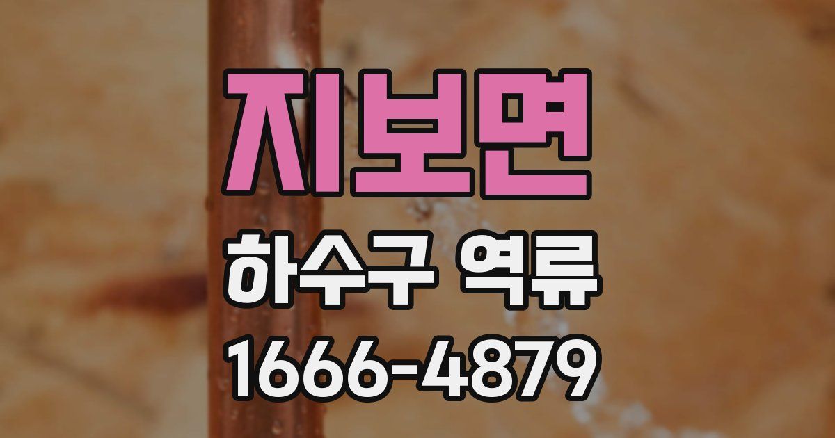 지보면 하수구 역류
