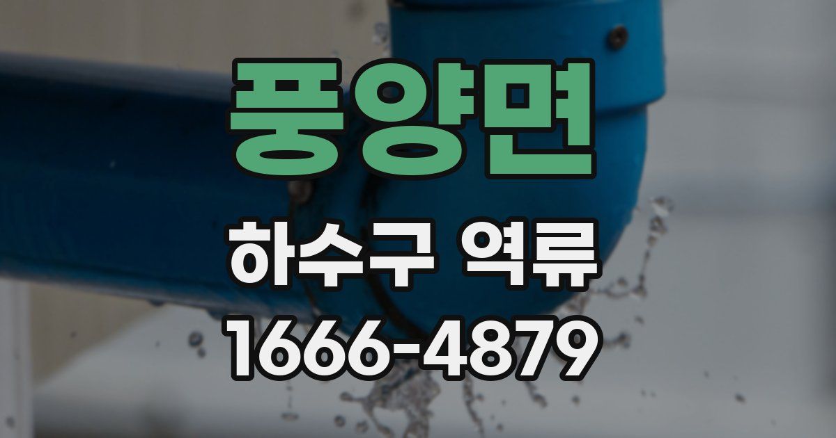 풍양면 하수구 역류