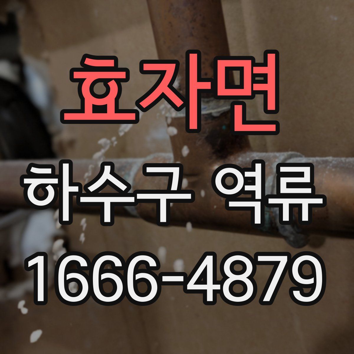 효자면 하수구 역류