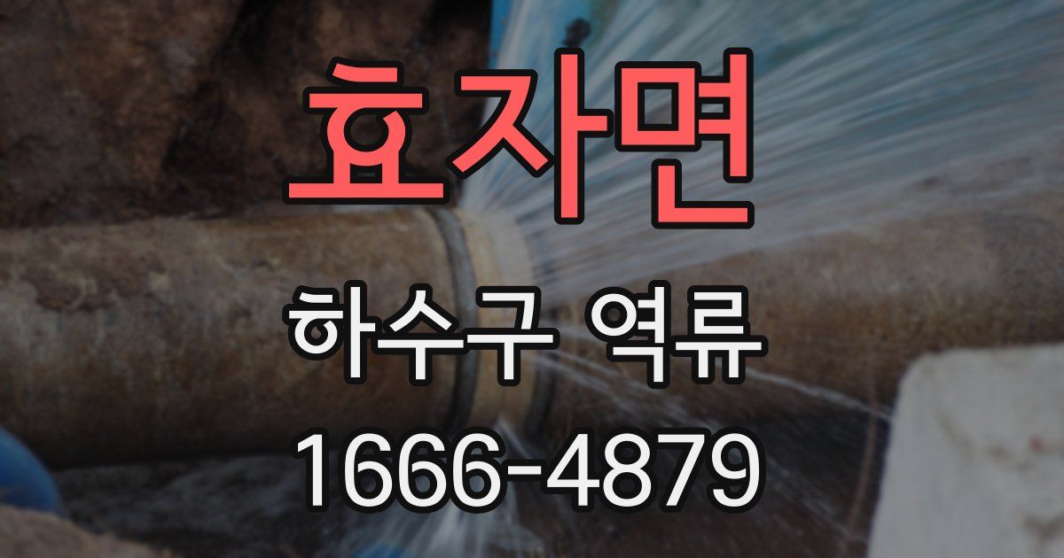 효자면 하수구 역류