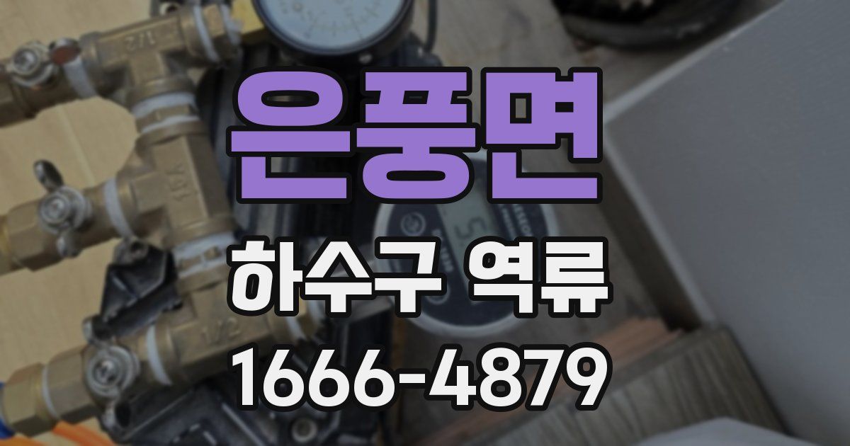 은풍면 하수구 역류