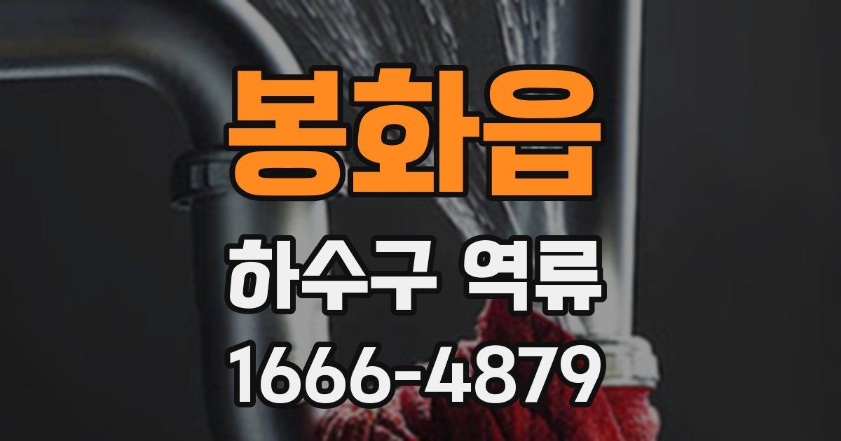 봉화읍 하수구 역류