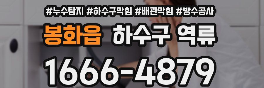 봉화읍 하수구 역류