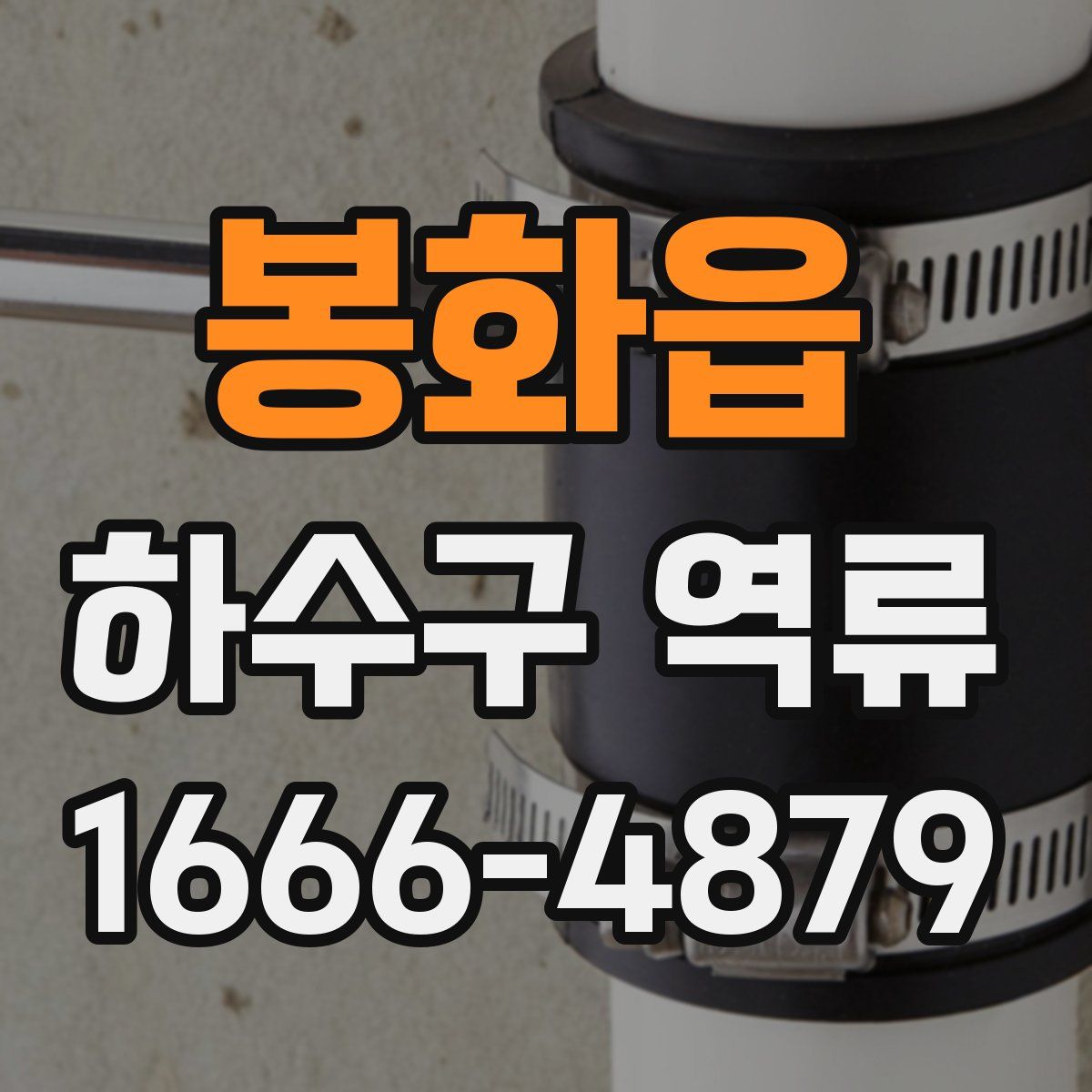 봉화읍 하수구 역류