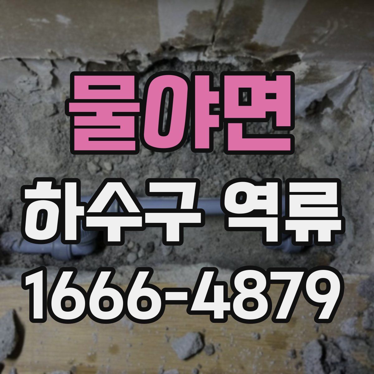 물야면 하수구 역류