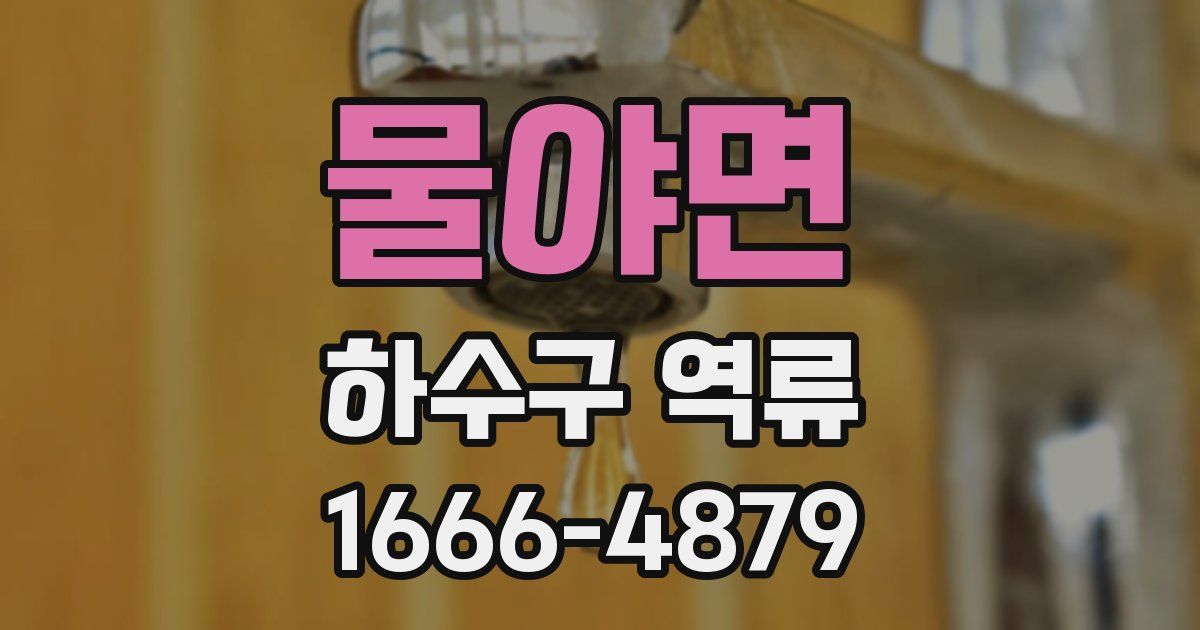 물야면 하수구 역류
