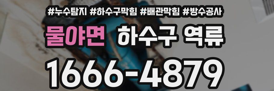 물야면 하수구 역류