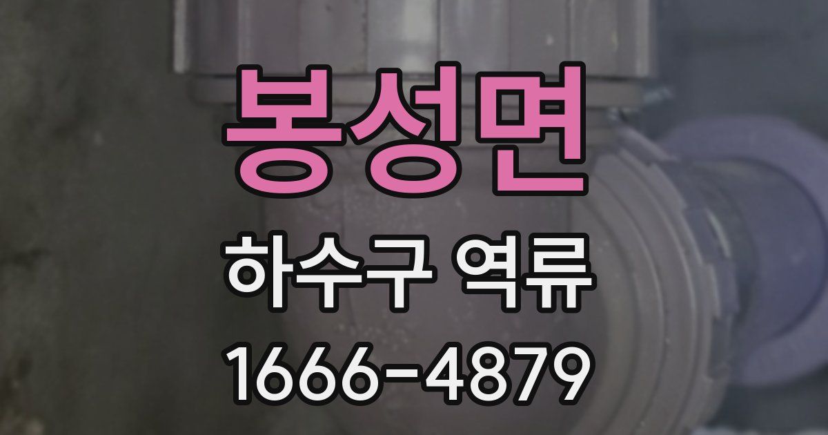 봉성면 하수구 역류