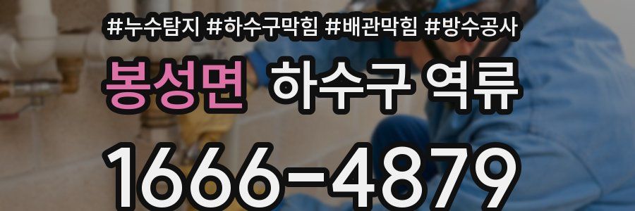 봉성면 하수구 역류