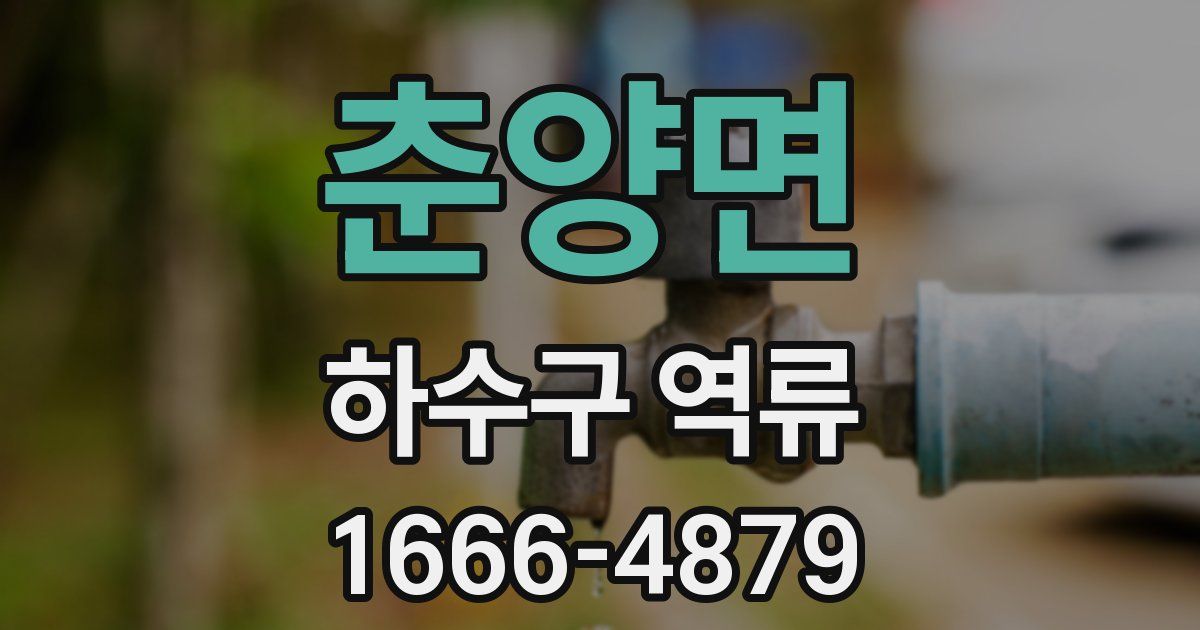 춘양면 하수구 역류