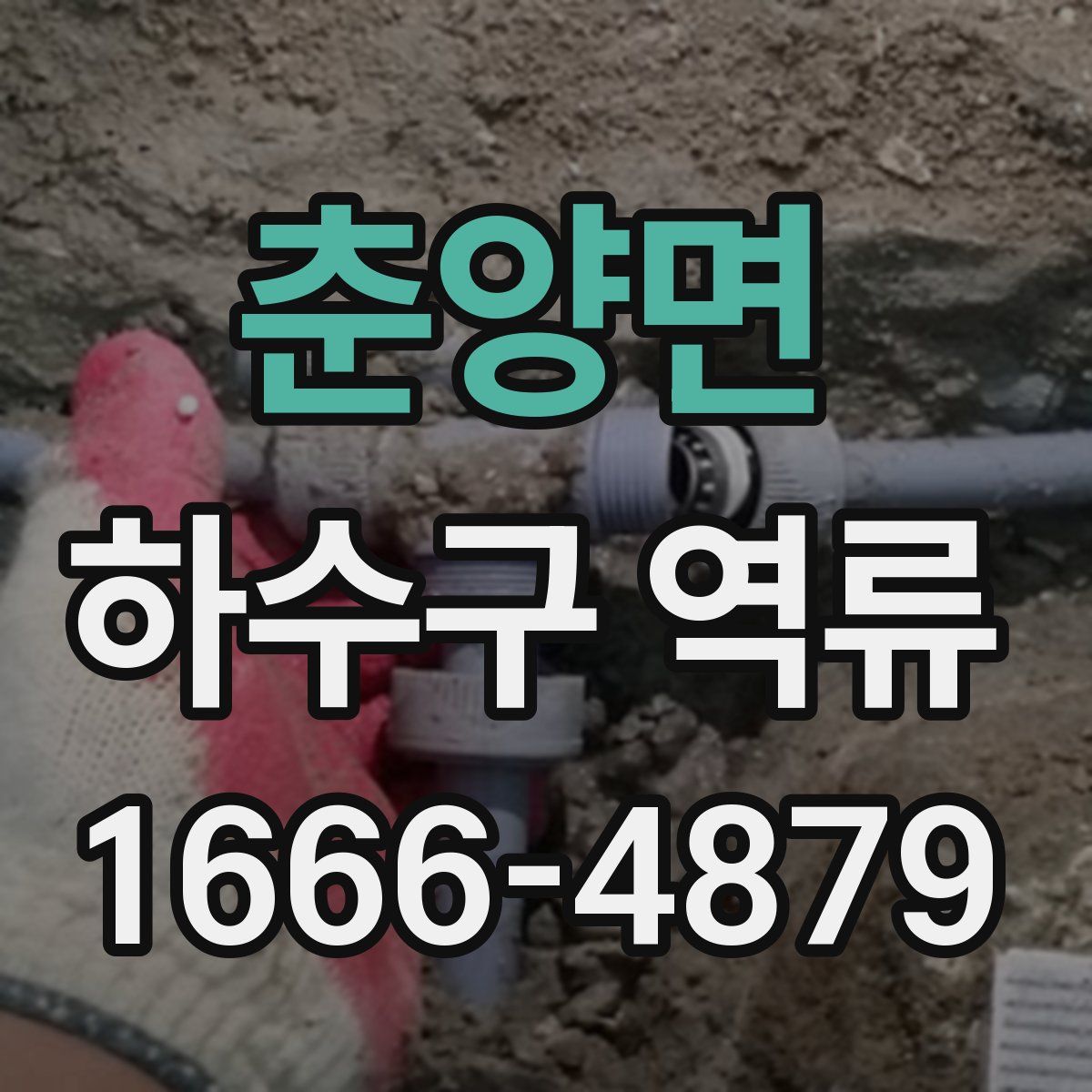 춘양면 하수구 역류