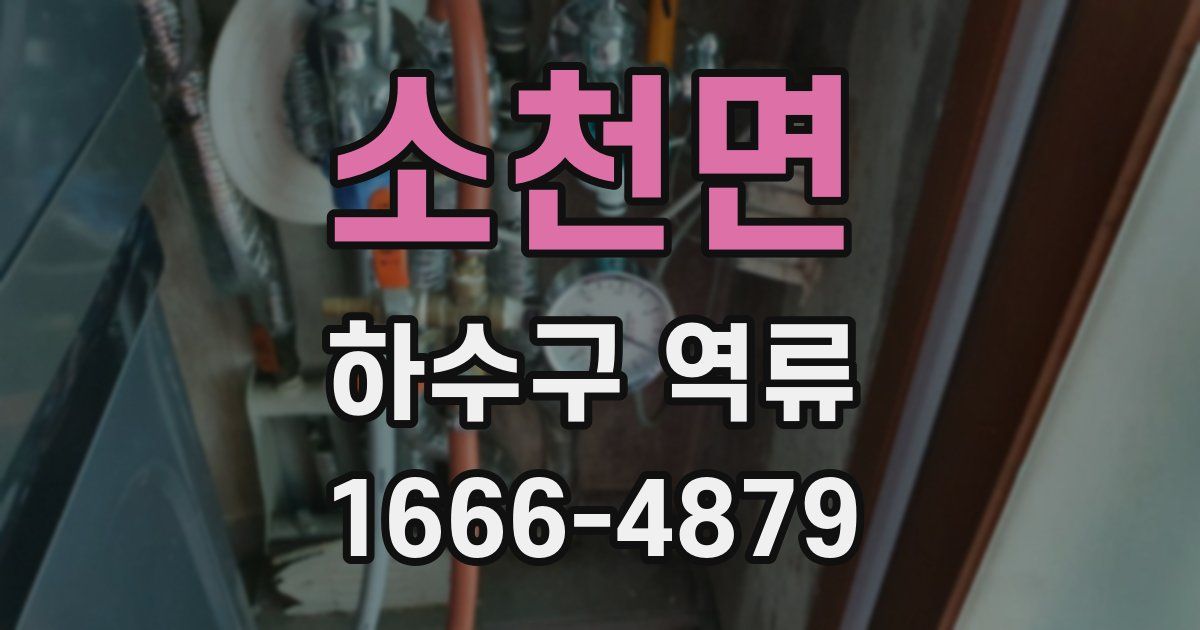 소천면 하수구 역류