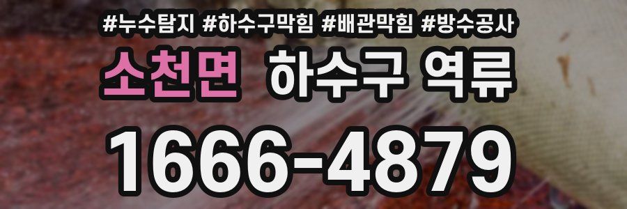 소천면 하수구 역류