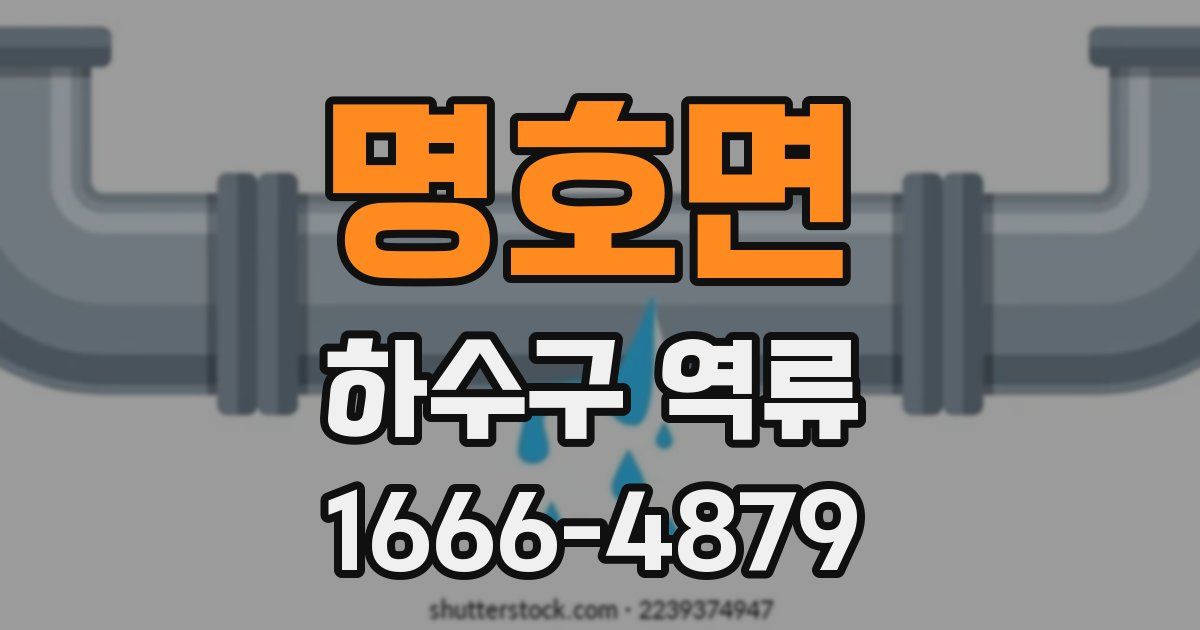 명호면 하수구 역류